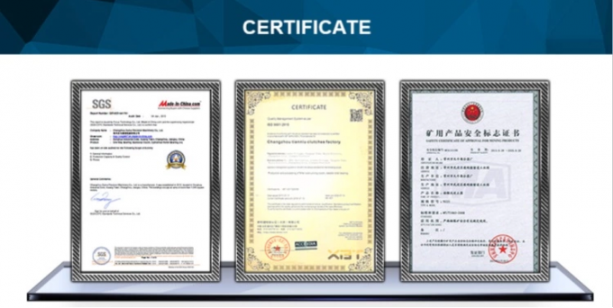 Überlappende Kupplung Einrichtungskampfkupplung Rolllager GV-Serie GV80 Rückhaltekupplung 10