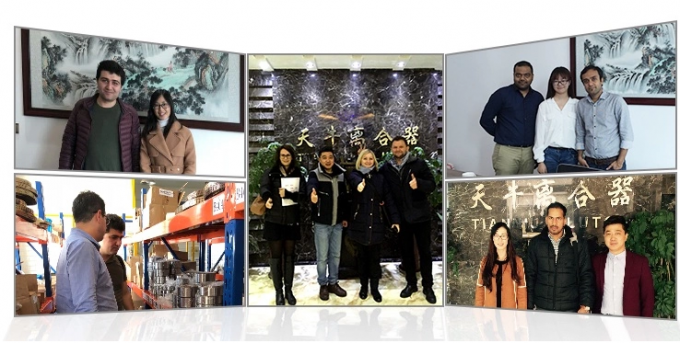 Überlappende Kupplung Einrichtungskampfkupplung Rolllager GV-Serie GV80 Rückhaltekupplung 9